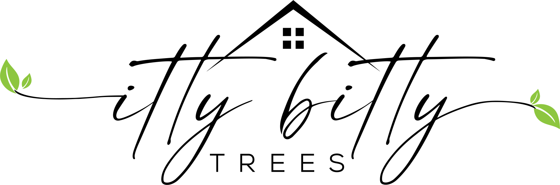 Houseplants and Bonsai in West Tennessee |Itty Bitty Trees